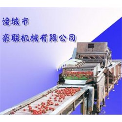 供應(yīng)胡蘿卜清洗機(jī)、白蘿卜清洗機(jī)