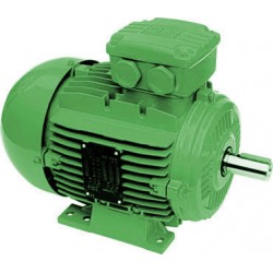 電機(jī) 哪里好 來濟(jì)南找瑞眾 技術(shù)精湛 價(jià)格合理  高貴的象征