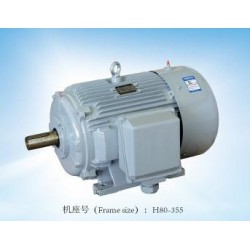 專業的閥門電機，哪里可以買到精湛的YE2系列三相異步電動機