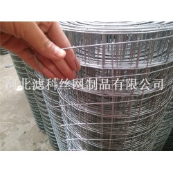 全球領(lǐng)導(dǎo)品牌¤廠家濾科供應(yīng)優(yōu)質(zhì)不銹鋼鋼筋電焊網(wǎng)，價(jià)格也不
