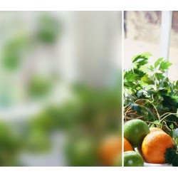 上海唯妙－環(huán)保水性玻璃蒙砂粉－優(yōu)質產(chǎn)品