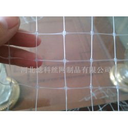 人氣新品，誠(chéng)意來(lái)襲★雙向拉伸塑料網(wǎng)