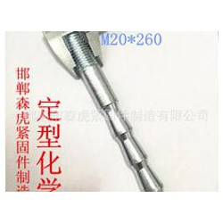M20定型化學錨栓供應廠家 想買價位合理的M20定型化學錨栓，就來森虎緊固件