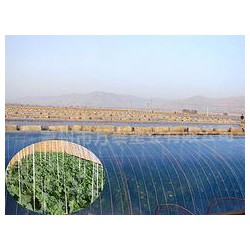 市場(chǎng)上品牌好的灌漿膜在哪里可以找到，灌漿膜圖片