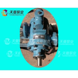 HSG440*2-46川潤(rùn)系統(tǒng)配套潤(rùn)滑油泵