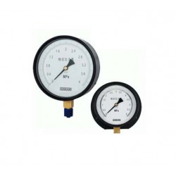 供應(yīng)YQF-160/200安全型防腐壓力表，壓力表批發(fā)，壓力表批發(fā)價(jià)格