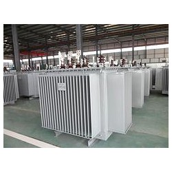 好的10KV油浸式變壓器在濰坊哪兒可以買到：油浸式變壓器35v