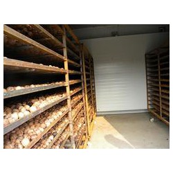 核桃烘干機(jī)