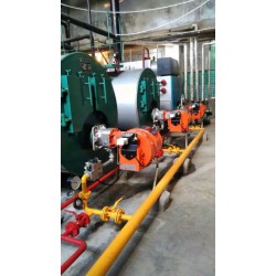 選購好用的燃油、燃?xì)馀P式蒸汽鍋爐就選廣州雄獅鍋爐 燃油、燃?xì)馀P式蒸汽鍋爐價(jià)位