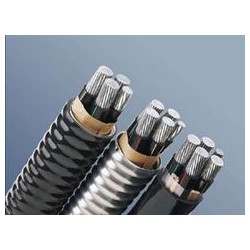 怎樣才能買到性價比高的鋁電纜|鋁電纜批發(fā)站