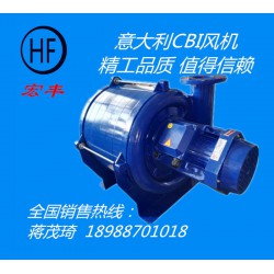 原裝進(jìn)口意大利CBI風(fēng)機（BCN系列）