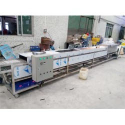 超聲波清洗機(jī)公司 專(zhuān)業(yè)的網(wǎng)帶式超聲波清洗線廠家推*