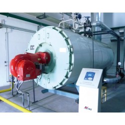 泰安哪里有供應(yīng)專(zhuān)業(yè)的WNS系列燃油燃?xì)忮仩t，福建燃?xì)獬哄仩t