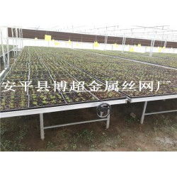 河北全新移動苗床，大棚育苗床