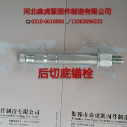 河北機(jī)械錨栓廠家特價(jià)批發(fā)銷(xiāo)售M20自切底機(jī)械錨栓現(xiàn)貨供應(yīng)