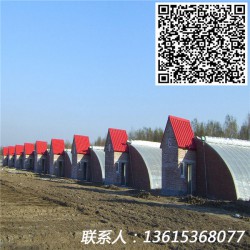 日光溫室設(shè)計(jì)安裝+連棟溫室大棚設(shè)計(jì)+冬暖式溫室大棚+蔬菜大棚