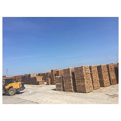 優(yōu)質(zhì)的鐵杉木料，廠家火熱供應(yīng)|安徽鐵杉自然風(fēng)干