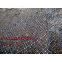 廠家供應主動防護|邊坡防護網(wǎng)價錢如何|河北質(zhì)量硬的主動防護邊坡防護網(wǎng)