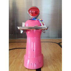 哪里有供應(yīng)價(jià)格優(yōu)惠的寧夏送餐機(jī)器人|青海送餐機(jī)器人