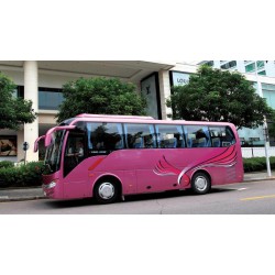 出口大金龍客車，買質(zhì)量可靠的大金龍客車當然是到廈門龍捷通了