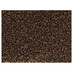 口碑好的昆明涂料粉末昆明供應(yīng) 出口陽(yáng)光粉末