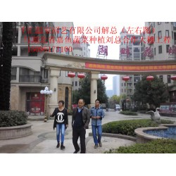 濰坊可信賴的蔬菜大棚建造公司，當(dāng)屬千匯溫室——蔬菜大棚造價(jià)