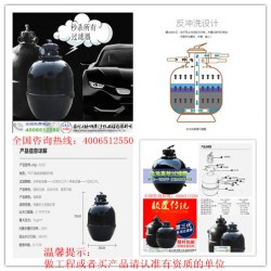 蘇州魚池水處理設(shè)備哪家好，景觀魚池水處理水凈化（蘇州祥和精創(chuàng)）魚池常年不換水公司