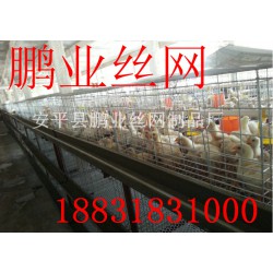 優(yōu)質(zhì)鐵絲肉雞籠廠家在衡水：中國(guó)肉雞籠