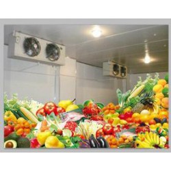 銅陵瓜果冷庫設(shè)備【好的選擇】銅陵瓜果冷庫造價(jià) 銅陵瓜果冷庫哪家好