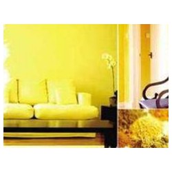 環(huán)保漆哪家好|實惠的環(huán)保凈味漆火熱供應中