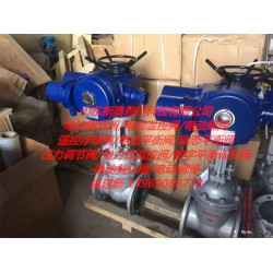 防水電動(dòng)調(diào)節(jié)閥選新奧自控科技_價(jià)格優(yōu)惠 IP68等級閥門價(jià)格