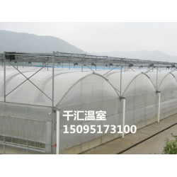 玻璃溫室大棚：高性價(jià)薄膜溫室大棚