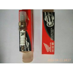 優(yōu)質(zhì)的火花塞在哪能買到|油鋸火花塞