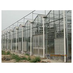 專(zhuān)業(yè)的鋼結(jié)構(gòu)溫室大棚建造——超值的鋼結(jié)構(gòu)溫室大棚建造推*