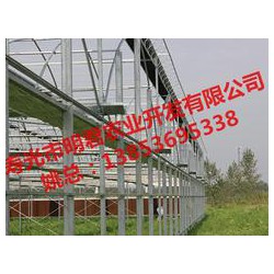 【誠薦】智能溫室大棚建設(shè)訊息，溫室大棚搭建報價