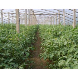 山西創(chuàng)新型的太原生態(tài)餐廳_太原哪有采摘園