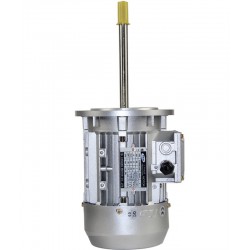 Y90L4：品質(zhì)好的鋁殼長軸電機(jī)批發(fā)出售