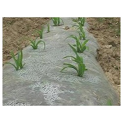 具有口碑的玉米地膜提供商，當(dāng)屬南寧市晟和興塑膠，貴州哪里有農(nóng)用地膜