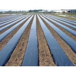 價格合理的農(nóng)用地膜當選齊環(huán)塑料：防水地膜