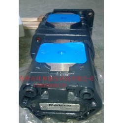 【供應(yīng)】高壓齒輪油泵,裝載機(jī)齒輪泵,雙聯(lián)齒輪油泵,三聯(lián)齒輪油泵-青州佳和液壓