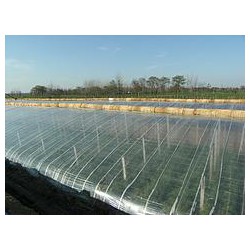 PO膜報價，優(yōu)質(zhì)金陽光PO膜市場價格情況