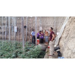 新日本PO膜信息優(yōu)質商家提供|水晶PO膜供應商