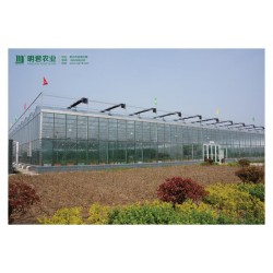 智能溫室大棚建設(shè)——專業(yè)的溫室大棚推*