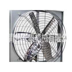 選購(gòu)價(jià)格公道的養(yǎng)殖降溫設(shè)備就選青州長(zhǎng)泰 畜牧養(yǎng)殖風(fēng)機(jī)批發(fā)