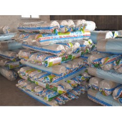 塑料薄膜哪里有供應(yīng)|西瓜專(zhuān)用膜廠(chǎng)家