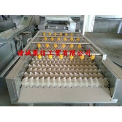 大棗清洗加工流水線(xiàn)/大棗清洗風(fēng)干流水線(xiàn)/大棗清洗風(fēng)干線(xiàn)