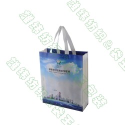 無紡布袋廠家、環(huán)保袋購(gòu)物袋、惠州環(huán)保袋廠家