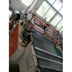 供應優(yōu)質快遞袋吹膜機【制袋機】整套設備提供技術指導