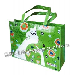 泰康國(guó)潤(rùn)無(wú)紡布袋，環(huán)保袋，購(gòu)物袋，廣告宣傳袋