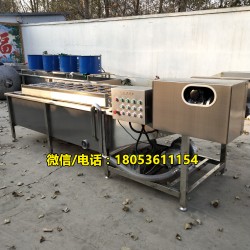 氣泡清洗機 果蔬加工設(shè)備 清洗機廠家